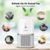KOIOS Air Purifier for Home, True HEPA Filter, Â², Remove Smoke Dust Pollen Pet Dander, Protable Odor Eliminator, No Ozone  - White