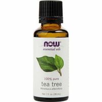 Essential Oils Now By Now Essential Oils Tea Tree Oil 1 Oz For Anyone