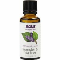 Essential Oils Now By Now Essential Oils Lavender & Tea Tree Oil 1 Oz For Anyone